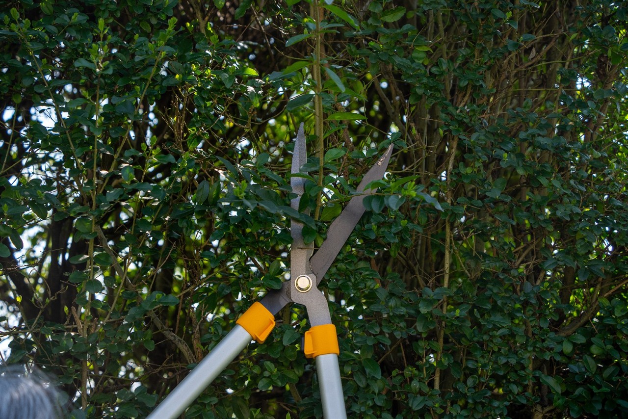 Handheckenschere TELESKOP